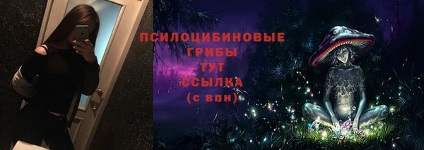 марки lsd Абаза