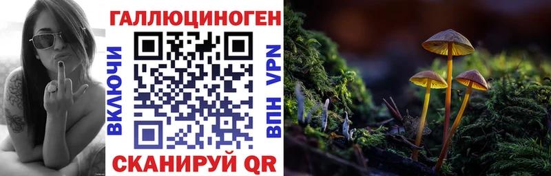 ОМГ ОМГ вход  Ачхой-Мартан  Псилоцибиновые грибы Psilocybe  купить наркотик 